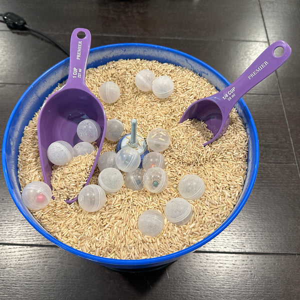 Scoop Your Pearls Experience