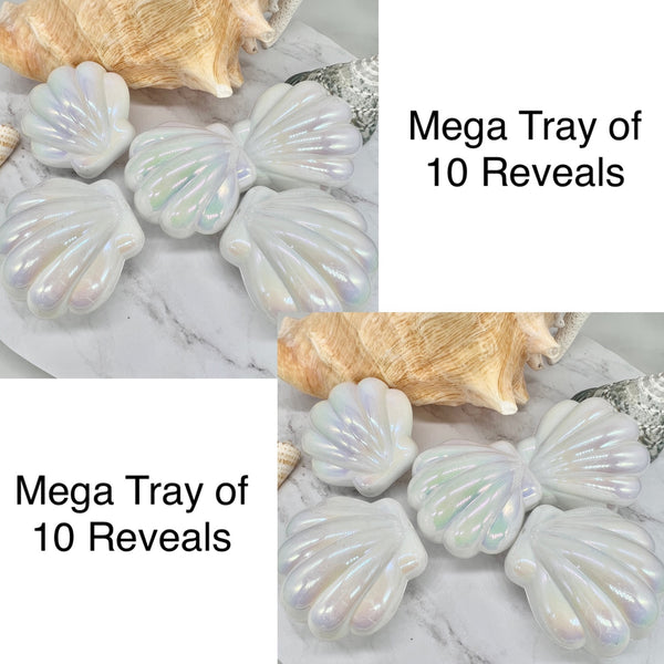 Environmentally Friendly Mega Party Tray of 10 Reveals (not from real oyster)